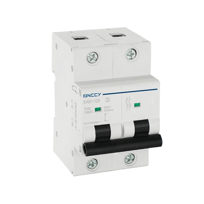 EAB1 AC 微型断路器 240V 100A 2P 6kA/10kA